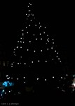 The Christmas tree in the Marktplatz