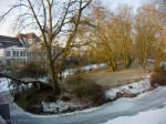 A winter scene, Neckar River "island", February 09, 2012