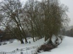 The Neckar Island in winter, February 10, 2012