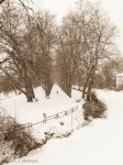 A walk down a snowy path, February 10, 2012 (sepia toned)