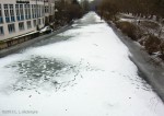 Tracks in the snow, February 10, 2012