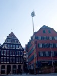 Tree on a pole in the Marktplatz, Tuebingen - Photo #1