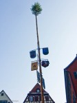 Tree on a pole in the Marktplatz, Tuebingen - Photo #3