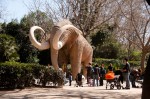 There's a zoo in the Parc de la Ciutadella, Barcelona