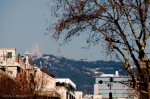 Sagrat Cor and Tree