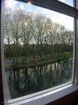 Reflected Trees on the Neckar Island, Tübingen