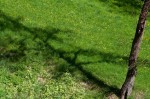 Interesting shadow, Bebenhausen