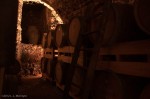 Barrels of wine in the Cantina