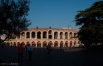 L'arena thru the trees in the park in PIazza Bra