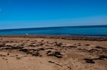 Beach at low tide, North Bay, Scarborough