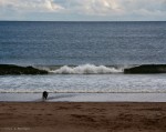 Playing on the Beach, North Bay, Scarborough