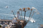 View from above the lighthouse, South Bay, Scarborough