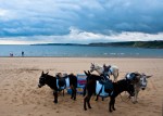 The donkey ride crew, South Bay, Scarborough