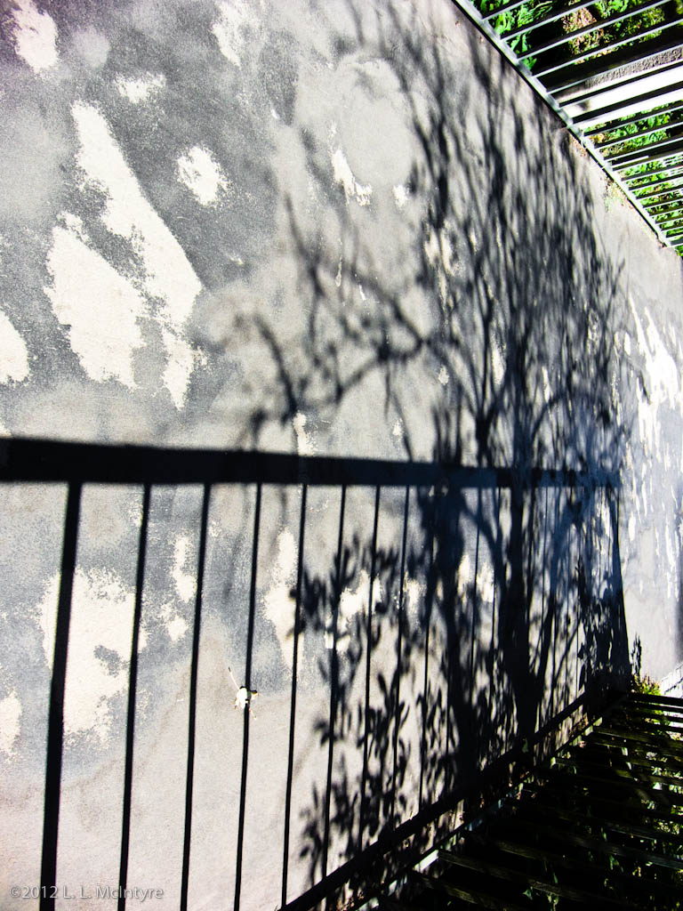 Shadow on a wall, Tübingen