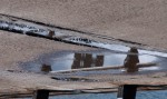 Reflection in a puddle - photo #2