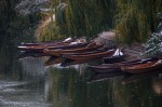 The punting boats in the snow