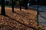 Street shadows