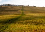 Hillside Path - more detail