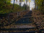 Path up the hill through the woods