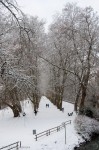 Neckar Island, Tübingen, December 2012