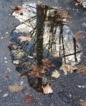 "Mercury" Puddle, Tübingen- version 2