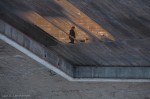 Standing on the steps, Arena, Verona