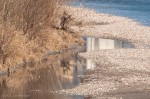 River Puddle, Adige