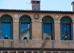 Reflection of the Cathedral