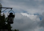 Skies over Hohenzollern Castle