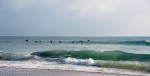 Pelicans, Indialantic Beach, Florida