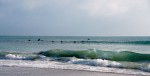 Pelicans, Indialantic Beach, Florida - photo #2