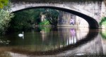 Under the bridge