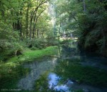 Along the stream