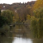 An Autumn Day on the Neckar River (Chris' idea for cropping)