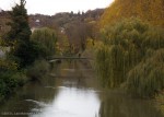 An Autumn Day on the Neckar River, November 2013