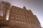 Building and Tree, Hamburg - Photo #2