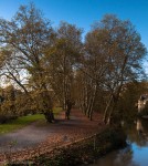 Neckar Island and the Hölderlinturm (tower) at right