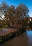 Neckar Island and the Hölderlinturm (tower) - take 2