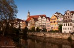 Postcard Shot from the Neckar Island