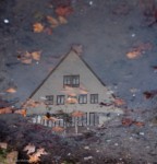 The House on Neckar Island - Photo #1
