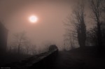 Sun in the Fog (warm tones)