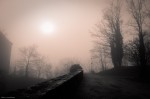Sun in the Fog (Sepia Gold Tone)