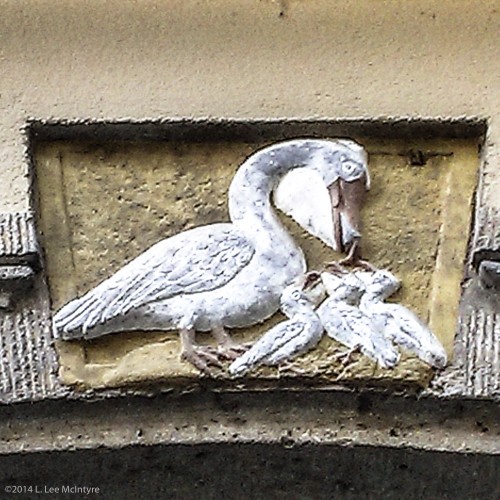 Pelican and family, plaque, Tübingen