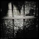 Self, fence and shadows - take 2
