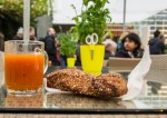 Soup and breadstick, in a greenhouse near Reykjavik, Iceland