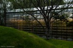 View into a greenhouse near Reykjavik, Iceland