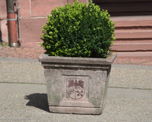 Weil der Stadt coat of arms on a planter