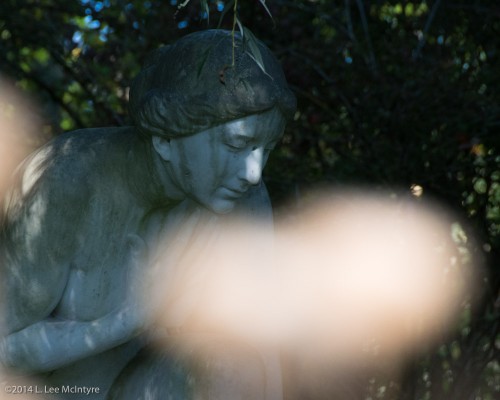 Untitled, near the Anlagensee, Tübingen