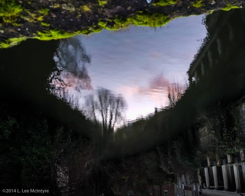 Reflection in the Avon, Royal Leamington Spa