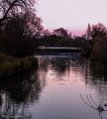 The Swan in the Sunset, Royal Leamington Spa